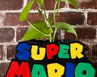 super Mario planter gift