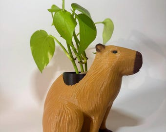 Capibara plantenbak cadeau