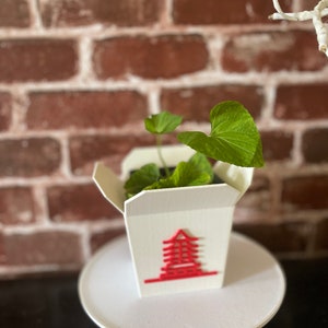 Take Out Planter Gift
