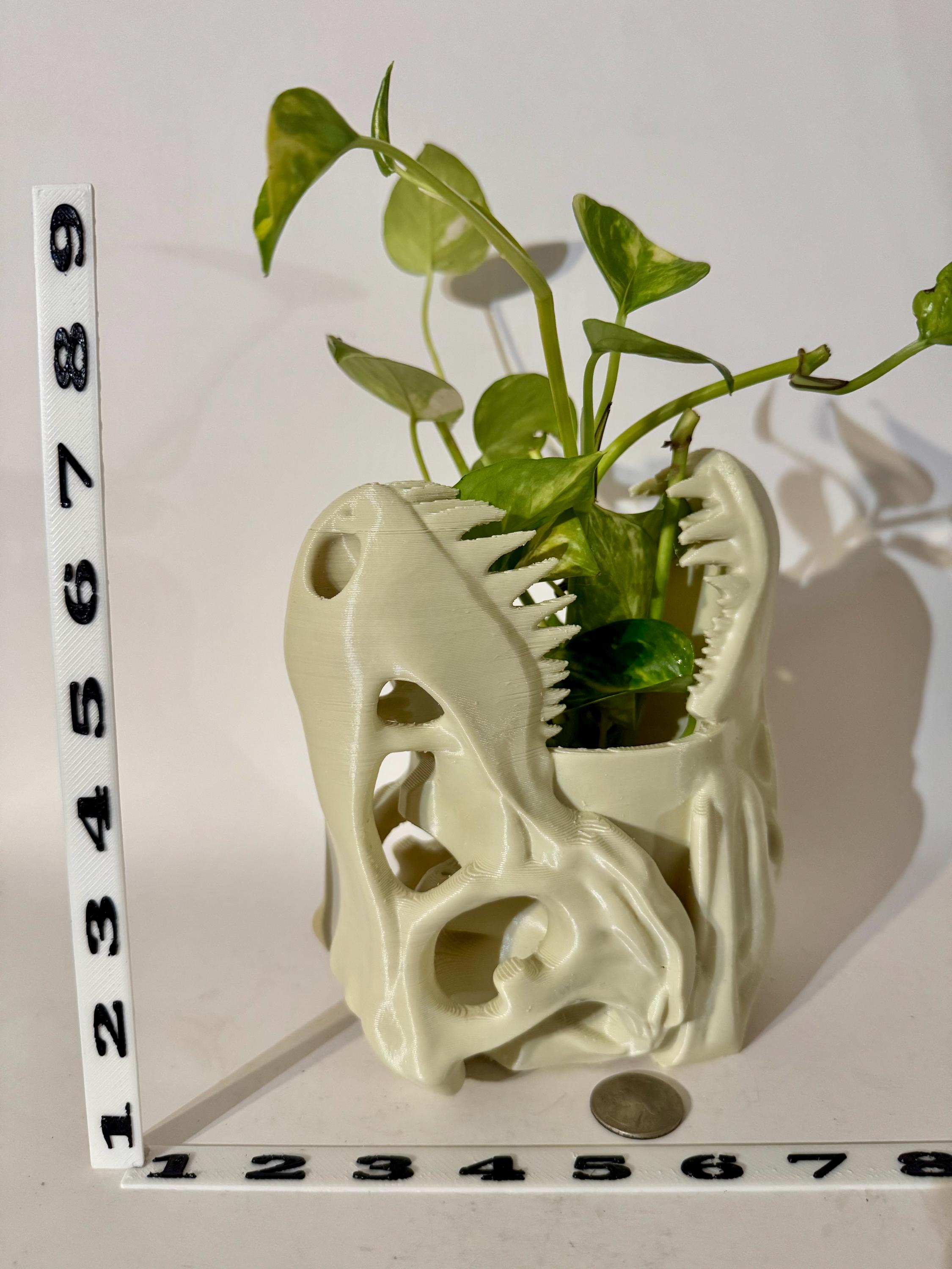Vaso da fiori a forma di teschio stampato in 3D: arredamento gotico per la casa, vaso per piante grasse - Italia