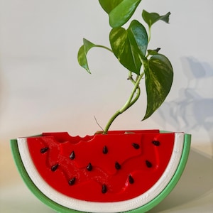 Watermelon planter gift
