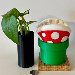 Mario Themed Geschenk Piranha Planter