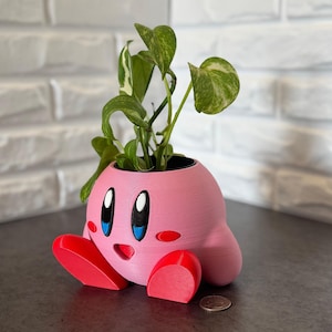 Kirby Planter Gift