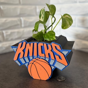 May include: A black planter featuring the New York Knicks logo in orange, blue, and white, with a basketball graphic. The planter holds a green leafy plant. A coin is visible in the foreground.
