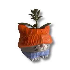 Custom Chill cat planter gift