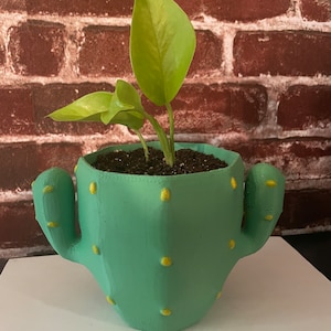 Kaktus Pflanzer Geschenk