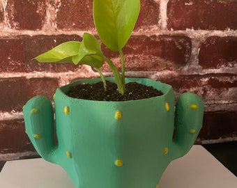 Regalo di fioriera per cactus