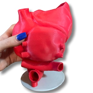 Heart planter gift w/ drainage & tray