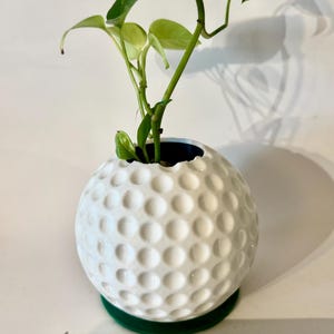 May include: A white, golf ball-shaped planter with a green base, holding a small green plant with light green and yellow leaves. The planter has a dimpled surface. A measuring tape shows inches.