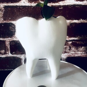 Puede incluir: Maceta de cerámica blanca con forma de diente con una pequeña planta verde creciendo dentro. La maceta está sobre una superficie blanca.