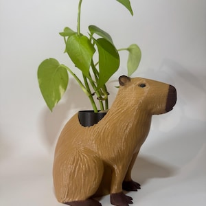 Capybara Planter gift hand painted parts