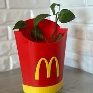 Frietbak | 3D-geprinte PLA-plantenpot | Afvoergat en lade | Rood geel bogendecor | Grappige fastfoodplanter