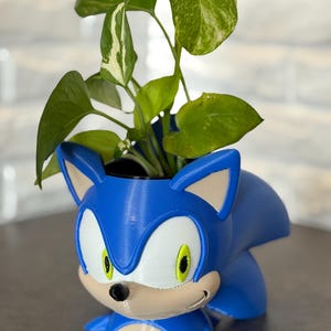 Sonic Hedgehog Planter Gift with inner pot