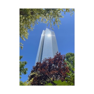 Puede incluir: Un rascacielos moderno y alto con una fachada de vidrio refleja la luz del sol. El edificio está rodeado de árboles verdes exuberantes y un árbol rojo vibrante en primer plano.