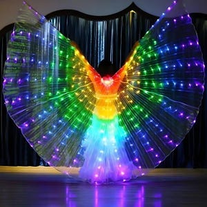 May include: A pair of rainbow-coloured LED wings with a sheer fabric and a light-up design. The wings are spread wide and illuminated with a variety of colours, creating a vibrant and eye-catching display.