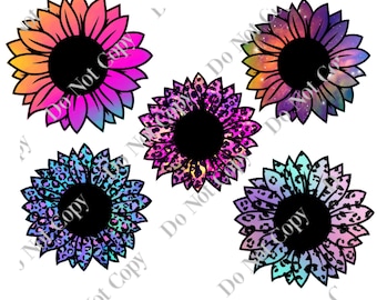5 Sunflower PNG Digital Download