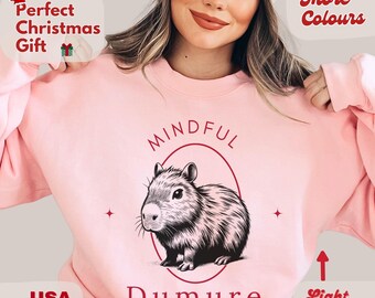 Capybara sweatshirt, mindful and demure shirt, vintage style sweater, gift for teenage girls, Christmas gift ideas, meme sweatshirt, funny