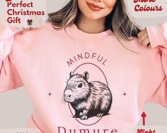 Capybara sweatshirt, mindful and demure shirt, vintage style sweater, gift for teenage girls, Christmas gift ideas, meme sweatshirt, funny