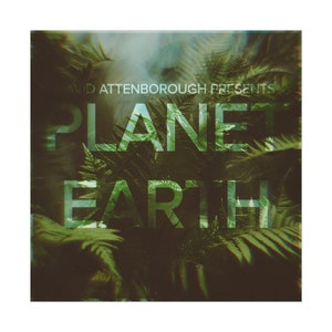 Planet Earth Poster - Distort Variant
