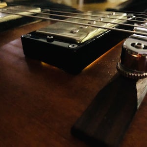 Resonanzringe für Archtop und Semi-hollow Gitarre Pickup Ringe