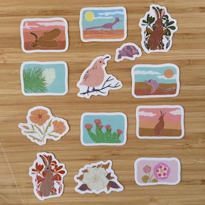 Pacchetto di adesivi con animali del deserto per il diario, decalcomania botanica per laptop, adesivo floreale per bottiglia d'acqua per gli amanti della natura, regalo in stile sud-ovest