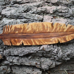 Puede incluir: Una talla de pluma de madera con un patr&oacute;n de veta de madera marr&oacute;n y naranja. La pluma est&aacute; sobre una superficie de corteza rugosa y gris.
