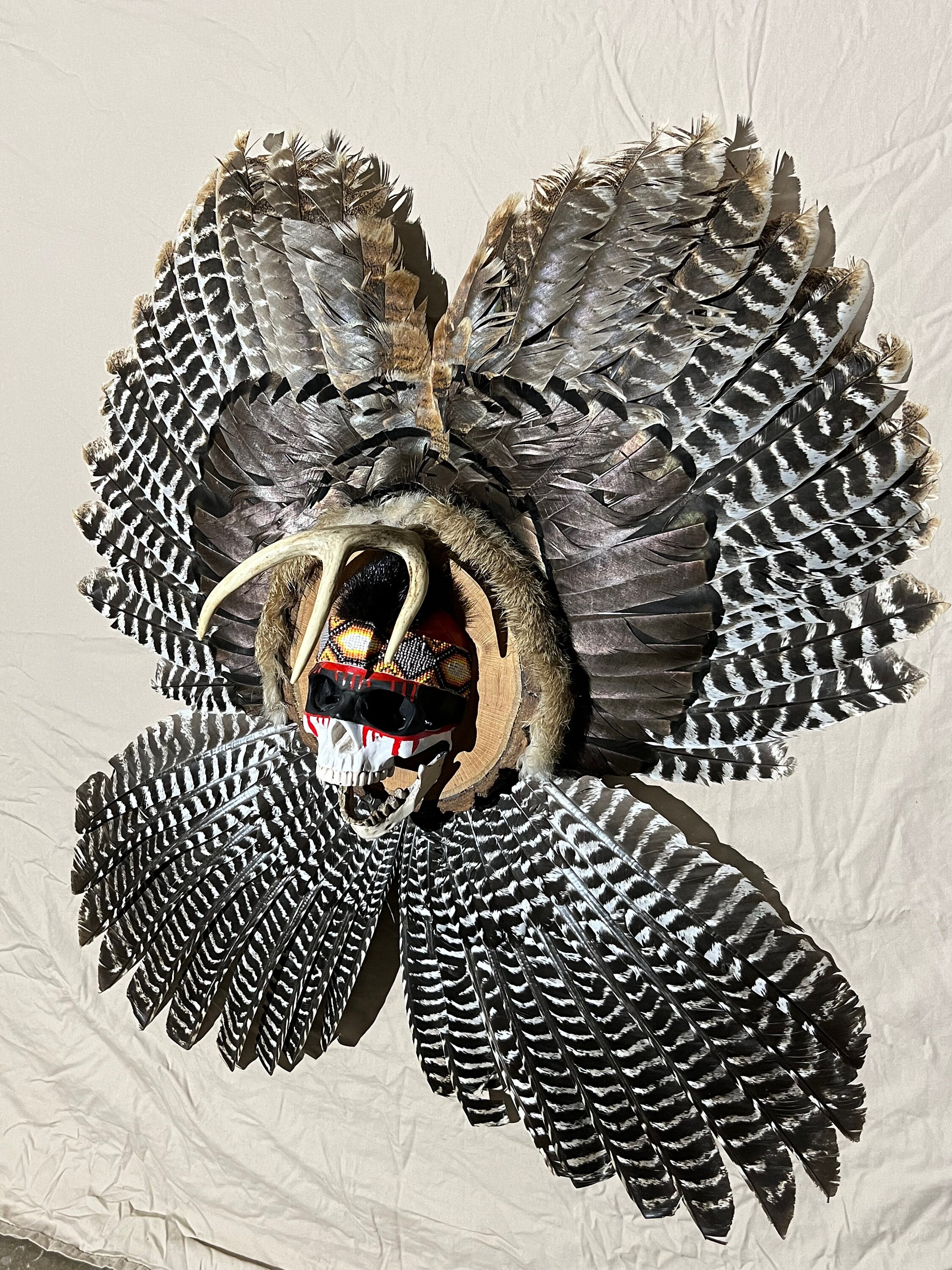 Modern Native American Turkey Feather and Antler Wall Art - Etsy
