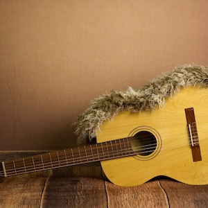 Guitar Music Composite Digital Backdrops for newborn photography