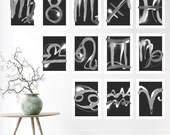 12pc Set Zodiac Print, Zodiac Printable, Zodiac Gifts, Zodiac Sign, Constellation Print, Zodiac Horoscope print, Astrology, Digital Download
