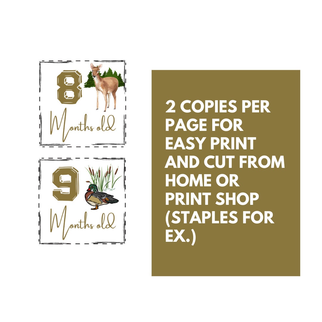 BABY Monthly Milestone Cards Hunting, Sportsman, Deer Hunting, Duck ...