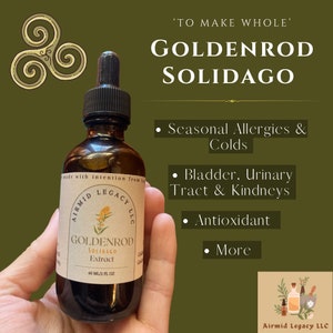 Goldenrod Solidago Extract (2 fl oz) in glass amber bottle with dropper