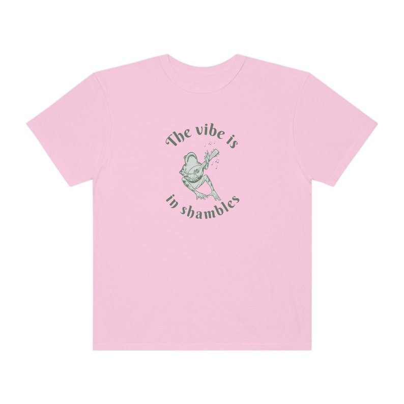 Frog Shirt Frog Tshirt Cottagecore Shirt Cottagecore Frog The Vibe Is In Shambles Frog Lover Gift Funny Tshirt Designs Cottagecore Clothes afbeelding 5