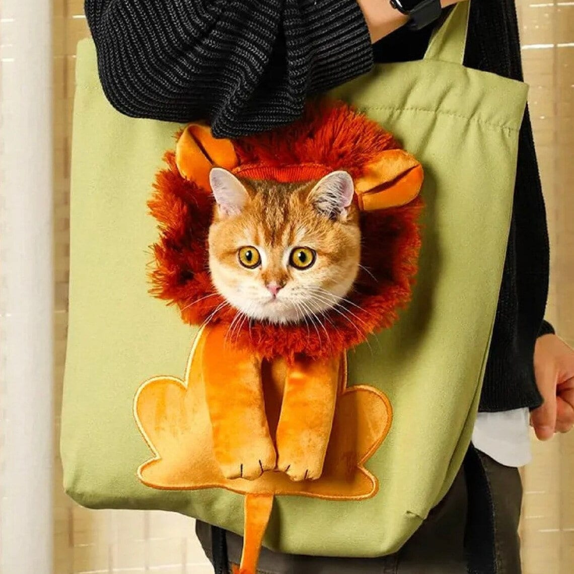 9 Best Cat Carriers of 2023 - Top-Tested Cat Backpacks and Totes