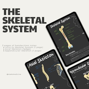 Digital Skeletal System Notes | Anatomy| Physiology | PreMed| PrePA| Nursing