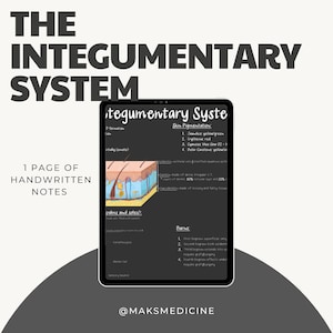 Notas del Sistema Tegumentario Digital / Anatomía y Fisiología/ PreMed/ PrePA/ Enfermería
