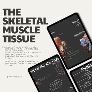 May include: Three digital illustrations on a black background with white text. The first illustration is a diagram of a muscle fiber with the title "Skeletal Muscle Tissue Action Potential". The second illustration is a diagram of the muscles of the face with the title "Muscles Move the Face". The third illustration is a diagram of the different types of muscle tissue with the title "Muscle Types".