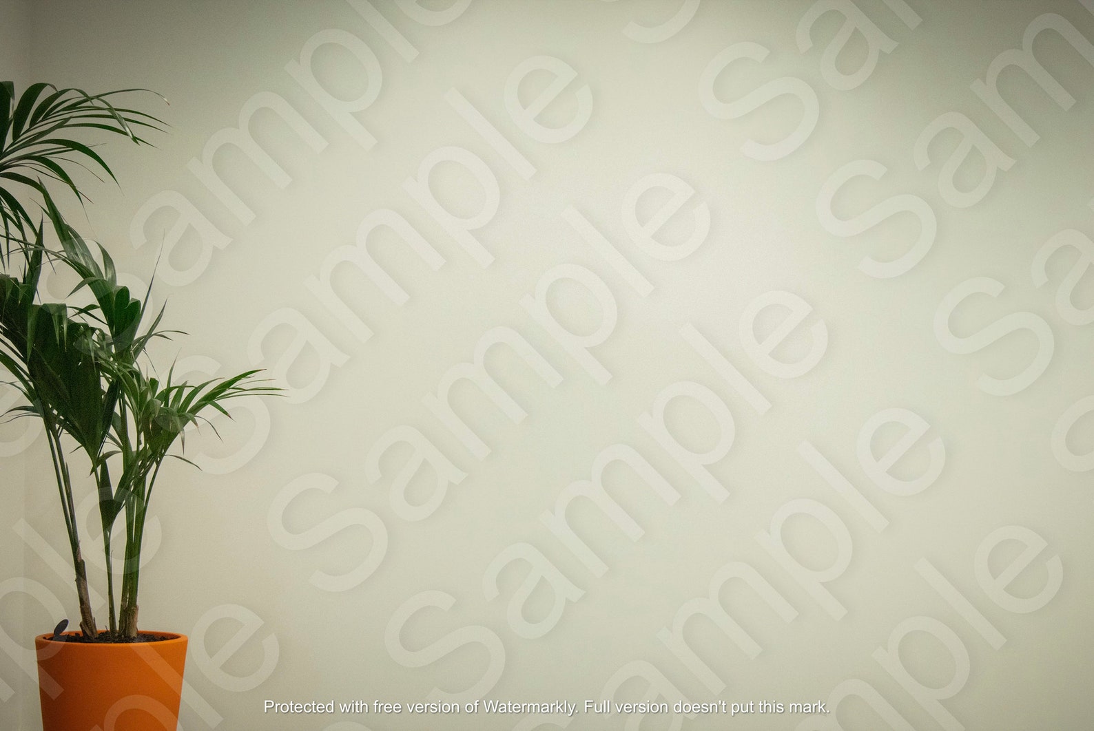 Simple Plant Virtual Background Zoom Teams Skype Etsy