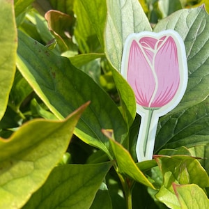 Vinyl Sticker Tulip autocollant Fleur Tulipe - weather resistant, journaling, scrapbooking, object personalization