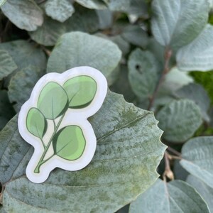 Eucalyptus vinyl sticker - Autocollant vinyl d’eucalyptus - journaling, bullet journal, collage, scrapbooking, nature lovers, art craft