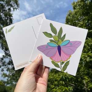 Artprint Butterfly and olive branch postcard digital art - Carte Postale de Papillon et branche d’olivier oeuvre digital imprimer