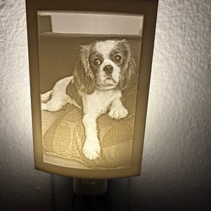 Custom personalized night light, using your photo, 3d printed night light, photo gift, personalized gifts, memorial gift, Birthday gift