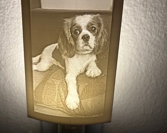 Custom personalized night light, using your photo, 3d printed night light, photo gift, personalized gifts, memorial gift, Birthday gift