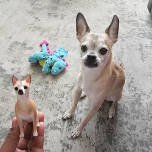 Personalized custom dog ,pet CakeTopper,Pets Birthday,cat caketopper , Anniversary pet，dog Figurines，Dogs birthday,wedding cake topper