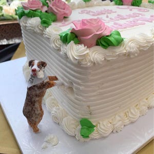 Personalized Dog Wedding Cake, Dog Birthday Cake, Wedding Cake Decorations, Pet Birthday Cake, Dog Wedding Cake Decorations, Pet Keepsakes