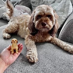Personalized custom pets dog, pets birthday, pets topper, caketopper, Pet partypet clay sculpture, wedding caketopper