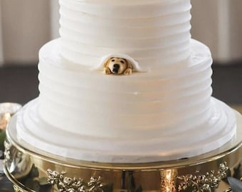 Perro personalizado, cumpleaños de mascotas, adorno para mascotas, adorno para tarta, escultura de arcilla para mascotas para fiestas de mascotas, adorno para tarta de boda