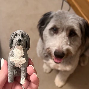 Personalized custom dog wedding cake topper , Anniversary pet，dog Figurines，pet CakeTopper，Pets Birthday，cat caketopper