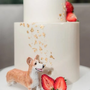 Personalized Custom Dog Wedding Cake Topper, Cat Cake Topper，Dog Cake Topper,Wedding Cake Topper With Dog, Pets Birthday