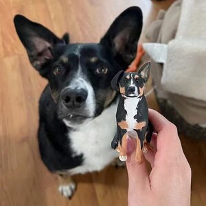 Personalized Custom Dog Wedding Cake Topper, Dog Cake Topper,Wedding Cake Topper With Dog，Cat Cake Topper , Pets Birthday