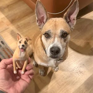 Personalized Custom Pet Dog Wedding Cake Toppers,Pet Birthday, Pet Toppers, Cake Toppers, Pet Party Pet Clay Figurines, Wedding Cake Toppers